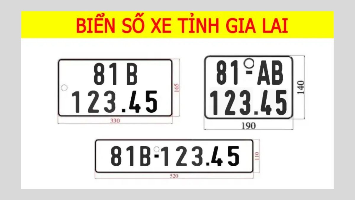 Biển số xe 81 quy định theo từng khu vực