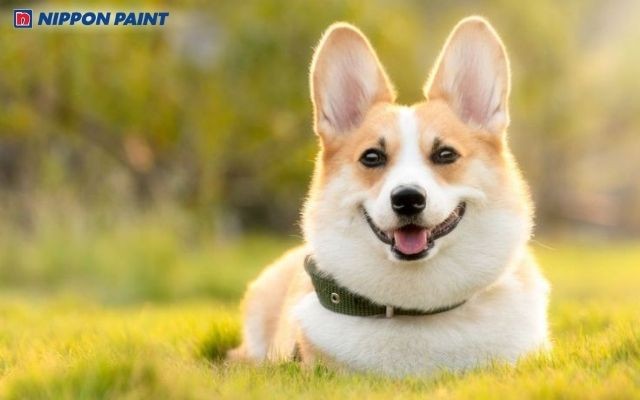 Người sinh năm 1982 là người có tính cách chính trực, giữ chữ tín