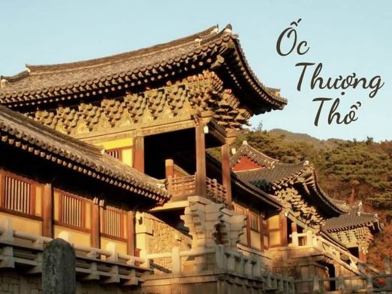 Đinh Hợi sinh năm 2007 thuộc mệnh Ốc Thượng Thổ