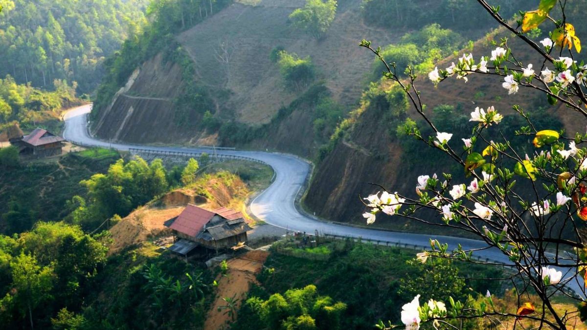 27 la tinh nao 1 1