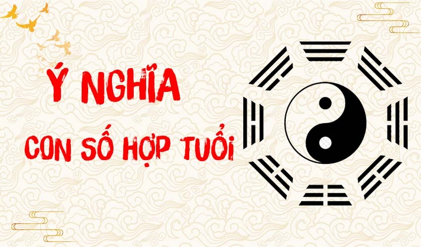 Con số may mắn có thể mang đến nhiều điều thịnh vượng