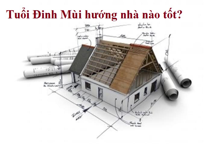 Tuổi Đinh Mùi hợp với nhà hướng Nam