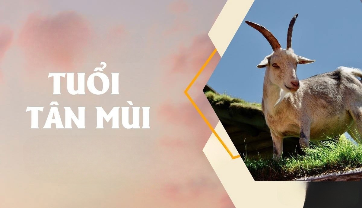 Người tuổi Mùi 1991 thuộc mệnh Thổ, nạp âm Lộ Bàng Thổ