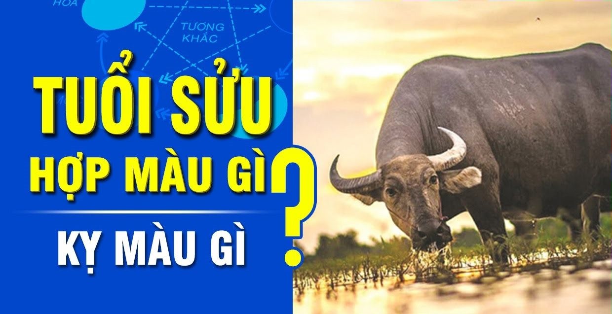 Tùy vào năm sinh và cung mệnh mà tuổi Sửu lại kỵ các màu khác nhau