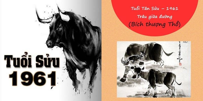 Tân Sửu (1961, 2021) mệnh Thổ hợp màu vàng, nâu đất