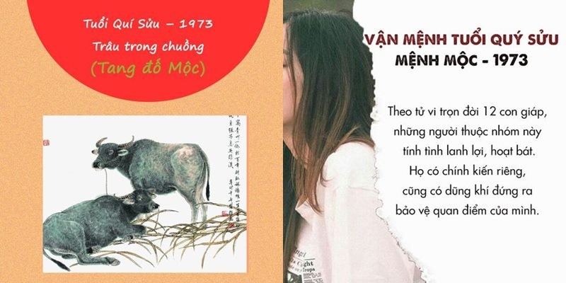 Tuổi Quý Sửu năm 1973 mệnh Mộc hợp màu xanh lá, đen, xanh dương