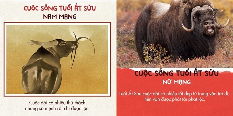 Tuổi Ất Sửu sinh năm 1985 mệnh Kim hợp màu vàng, nâu đất, trắng, xám