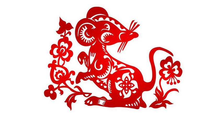 Người tuổi Tý rất thông minh, nhạy bén và sắc sảo trong mọi lĩnh vực
