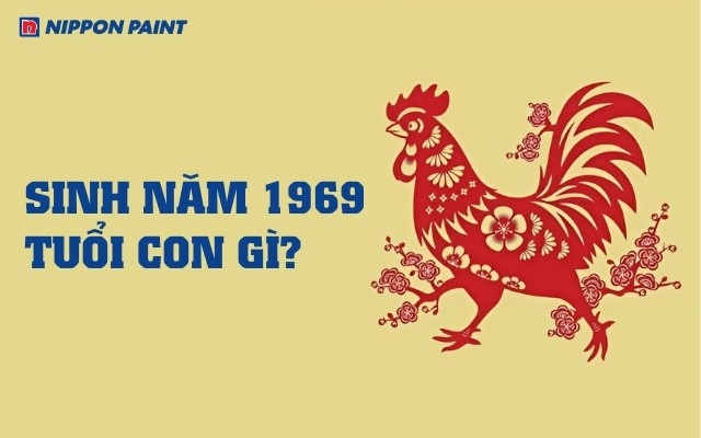 1969 hop mau gi 27 1