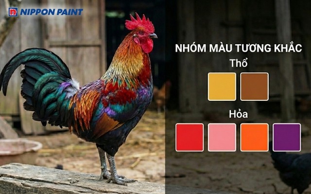Tuổi Ất Dậu 2005 khắc với các màu vàng, nâu đất, đỏ, hồng, cam, tím