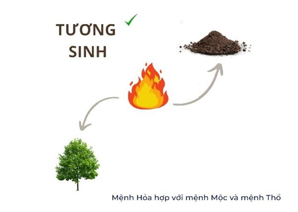 Người mệnh Hỏa 2008 tương sinh mạnh mẽ với hành Mộc và Thổ