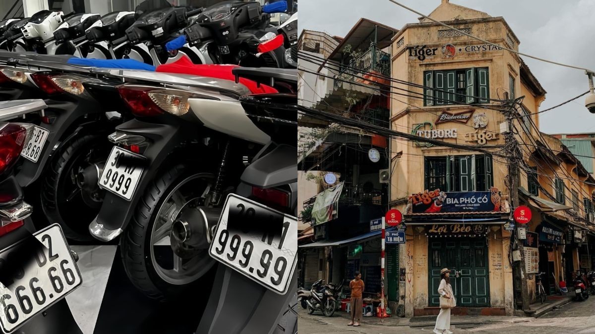 33 la tinh nao 1 1