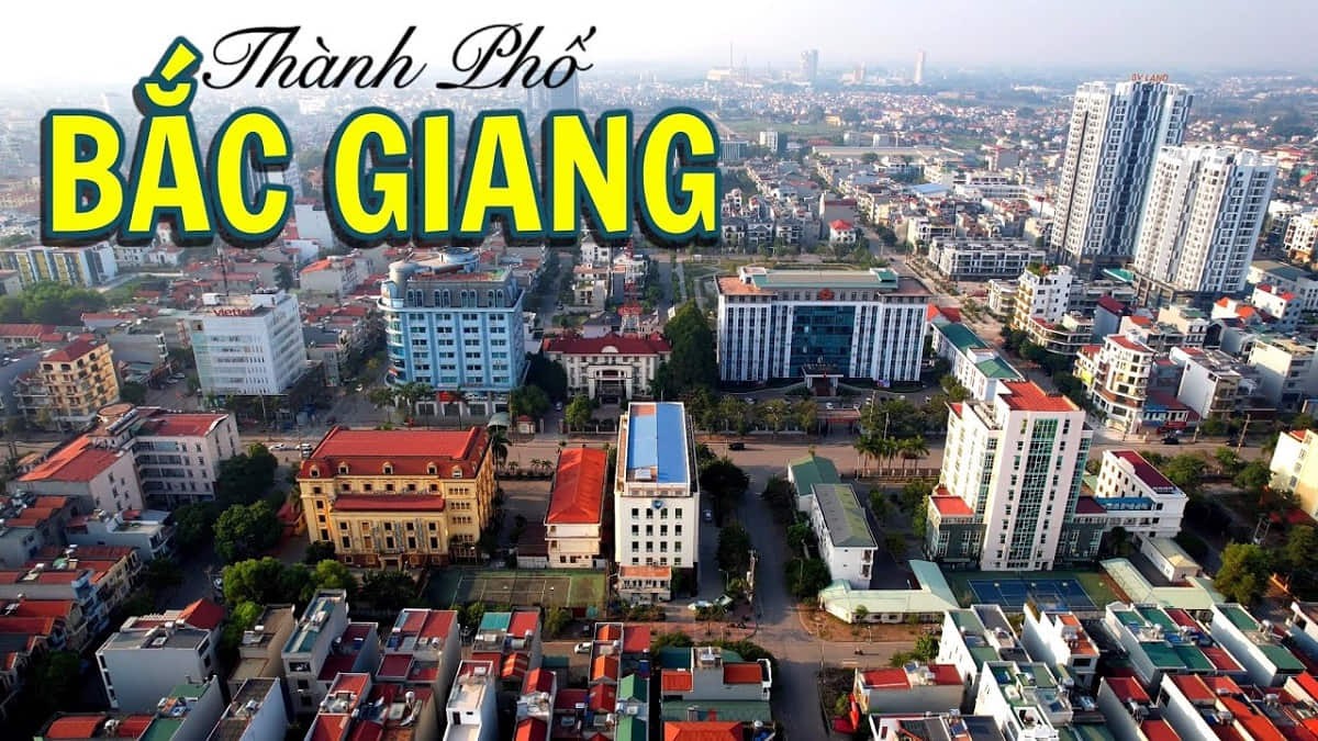 98 la tinh nao 1 1