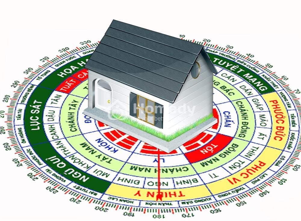 sinh nam 1981 hop huong nao 637348358868395275 1