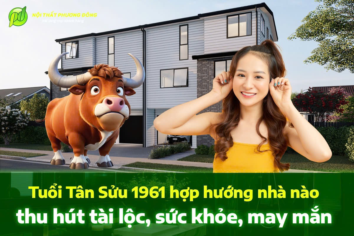 Gia chủ tuổi Tân Sửu 1961 nên chọn hướng nhà nào để thu hút tài lộc